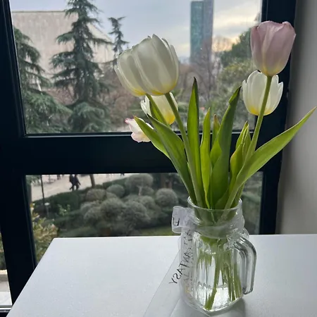 Piazza Center * Tirana