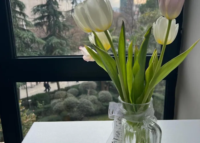 Piazza Center * ティラナ